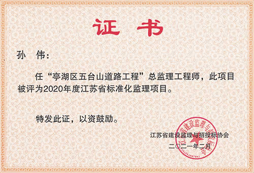 证书=江苏省标准化监理项目_孙伟（2020年度）.jpg